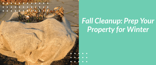 Fall Cleanup: 5 Ways to Prep Your Property to Survive the Winter
